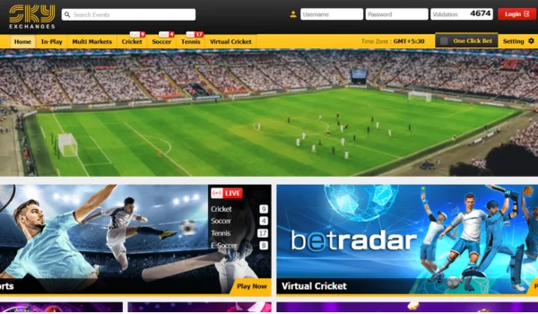 skyexchange Login Guide